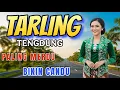Download Lagu TEMAN PERJALANAN ‼️ TARLING TENGDUNG MERDU🔊 BIKIN CANDU SAAT DENGARNYAA
