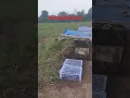 Download Lagu Melihat Tanaman di kebun di sore hari #wisata #vokalsunda #viralvideo #pertanian #sawah #jangkaun