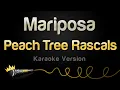 Download Lagu Peach Tree Rascals - Mariposa (Karaoke Version)