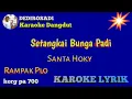 Download Lagu SETANGKAI BUNGA PADI SANTA HOKY Rampak Karaoke Tanpa Vokal@DEDIROSADI