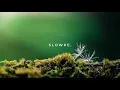 Download Lagu Kodaline - Everyone Changes ft  Gabrielle Aplin (slowed + reverb)