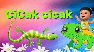 lagu cicak cicak lagu indonesia lagu balita terpopuler