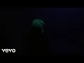 Billie Eilish \u0026 NL FO4EVER - WILDFLOWER (music video)