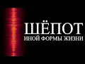 Channel