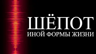 С нашей эволюцией что-то не так | ALI