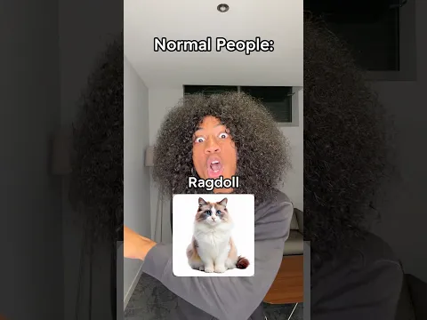 That one person with cats be like..😭 #humor