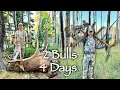 Download Lagu Two Bulls Of A Lifetime | Colorado Bow Elk Hunt Remastered