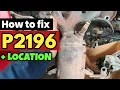P2196 p2196 O2 Sensor Signal Rich - Bank 1 Sensor 1 code p2196 p2196 obd2