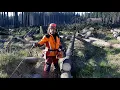 Working in the woods is only a pleasure with the Husqvarna 560XP