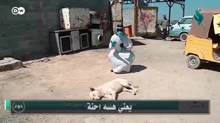 تفضل استاذ علاء تسمعني تفضل    دندنها
