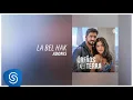 Adonis - La Bel Haki (Novela: Orfãos da Terra)