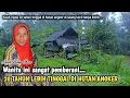 Download Lagu NEKAD, WANITA INI MEMILIH TINGGAL DI GUBUK KECIL TENGAH HUTAN TANPA LISTRIK TANPA TETANGGA...