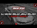 Download Lagu DJ Dayak Malihi Janji Melody Mengkane Slowed Reverb🎧