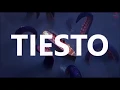 Download Lagu Tiesto Seavolution and Wave Rider From Hotel Transylvania 3 Completed  Large(  Ananoki Remix )