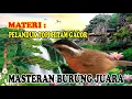 Download Lagu PANCINGAN AMPUH PELANDUK TOPI HITAM MASTERAN KOMPILASI MATERI BURUNG JUARA LOMBA