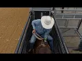 JB Mauney Teaches the Basics of Chute Procedure | Bull Riding 101