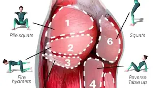 تمارين تستهدف العضلة النائمة 