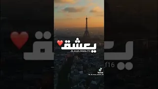 يا قلبي يعشق ويبطل 