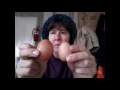 Guinea Egg Vs Chicken Egg