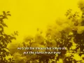 the maccabees - toothpaste kisses (lyrics)