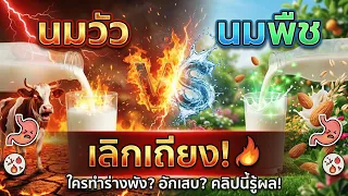 ภาวะลำไส้รั่ว (leaky gut) เกิดขึ้นได้อย่างไรจากนมวัว