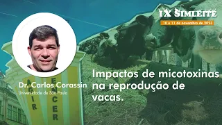 PECUÁRIA LEITEIRA - REPRODUÇÃO: Impactos de micotoxinas na reprodução de vacas