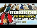 Download Lagu MASTERAN MURAI BATU || TEMBAKAN MAUT TERBARU 2023