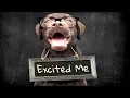 5 Sounds To Excite Dogs