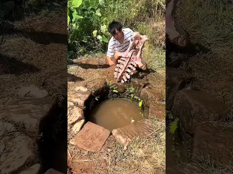 Um animal perigoso saiu do poço! 😳