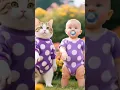 Lagu kucing dan bayi joget asyik rindu aku rindu kamu jadi satu #cat #cute #imut