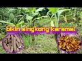 Download Lagu Panen dan bikin singkong karamel #egoadriano #sinauhurip #dedymulyadi #partitv