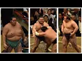 Download Lagu Kotozakura's knee improves; Onosato London talk event; Aonishiki fundraiser (Sumo News, Oct 3rd)
