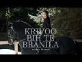 Download Lagu MILENA ĆERANIĆ - KRIVOG BIH TE BRANILA (OFFICIAL VIDEO | ALBUM MOJ PRVI)