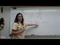 HONORS Density Percent Error