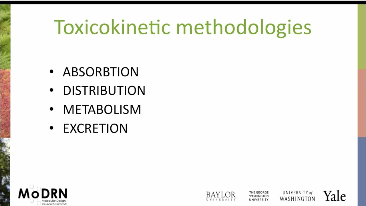 M3E MoDRN Toxicology ADME