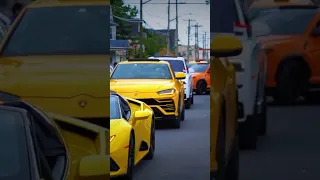 أعراس يمنيه في الولايات المتحدة الأمريكية اعراس يمنيه اليمن 