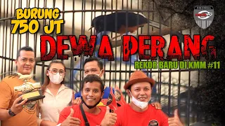 Download BELUM KONCER Sudah Diprediksi JUARA Burung 750JT DEWA PERANG H.BARNAZ Pemecah RECOR BARU DI KMM#11 MP3