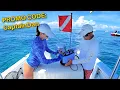 A Better Dive System NOMAD From Blu3