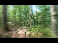 Download Lagu Pomfret Mtb