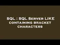 SQL SQL Server LIKE containing bracket characters