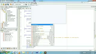 Program to make a basic Calculator using switch case and functions