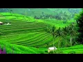 Download Lagu Instrumen Musik Sunda No copyright untuk backsound video