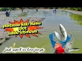 Download Lagu OH..jadi seperti ini! pantesan selalu nemu spot PANEN IKAN dengan hasil yang menggiurkan ternyata!