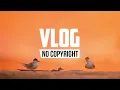 🍎Chill Music Background for Videos No Copyright Music|Alex Keeper - You Can Stay 🎶