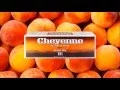 Buy Cheyenne Filtered Cigars NOW