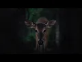 Lee Jones - Rumble