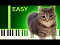 Download Lagu OIIAOIIA CAT MEME SONG - EASY Piano Tutorial
