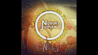 ngwaks u0026 jumanji mjolo ke stress ft megatonesa u0026 cool c