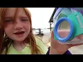 BUG CATCHiNG with NiKO and ADLEY!!  Learning about Rare Bugs found on pirate island irl & in Roblox