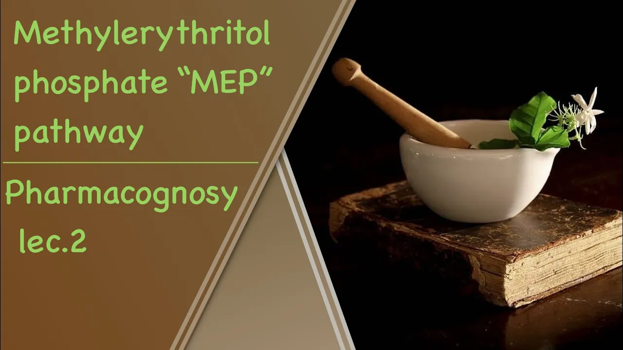 Methylerythritol phosphate pathway l pharmacognosy lec.2